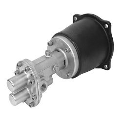 Reversible Rotary Gear Pump